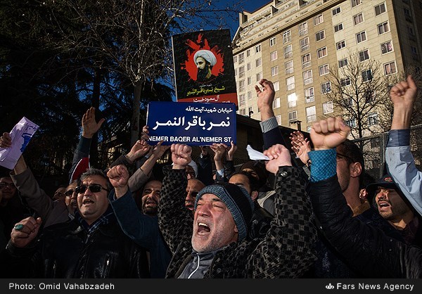 Nimr al-Nimr