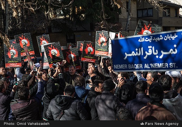 Nimr al-Nimr