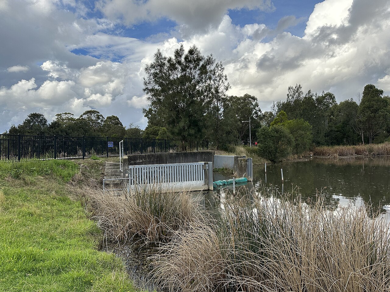 Pemulwuy
