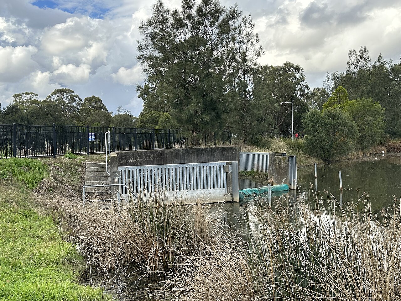 Pemulwuy