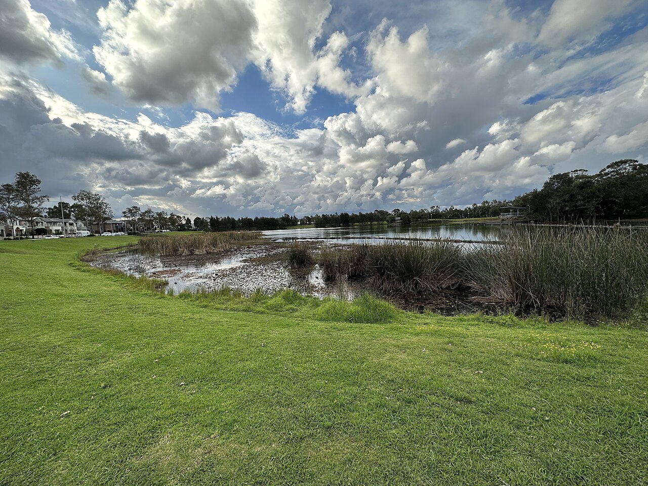 Pemulwuy