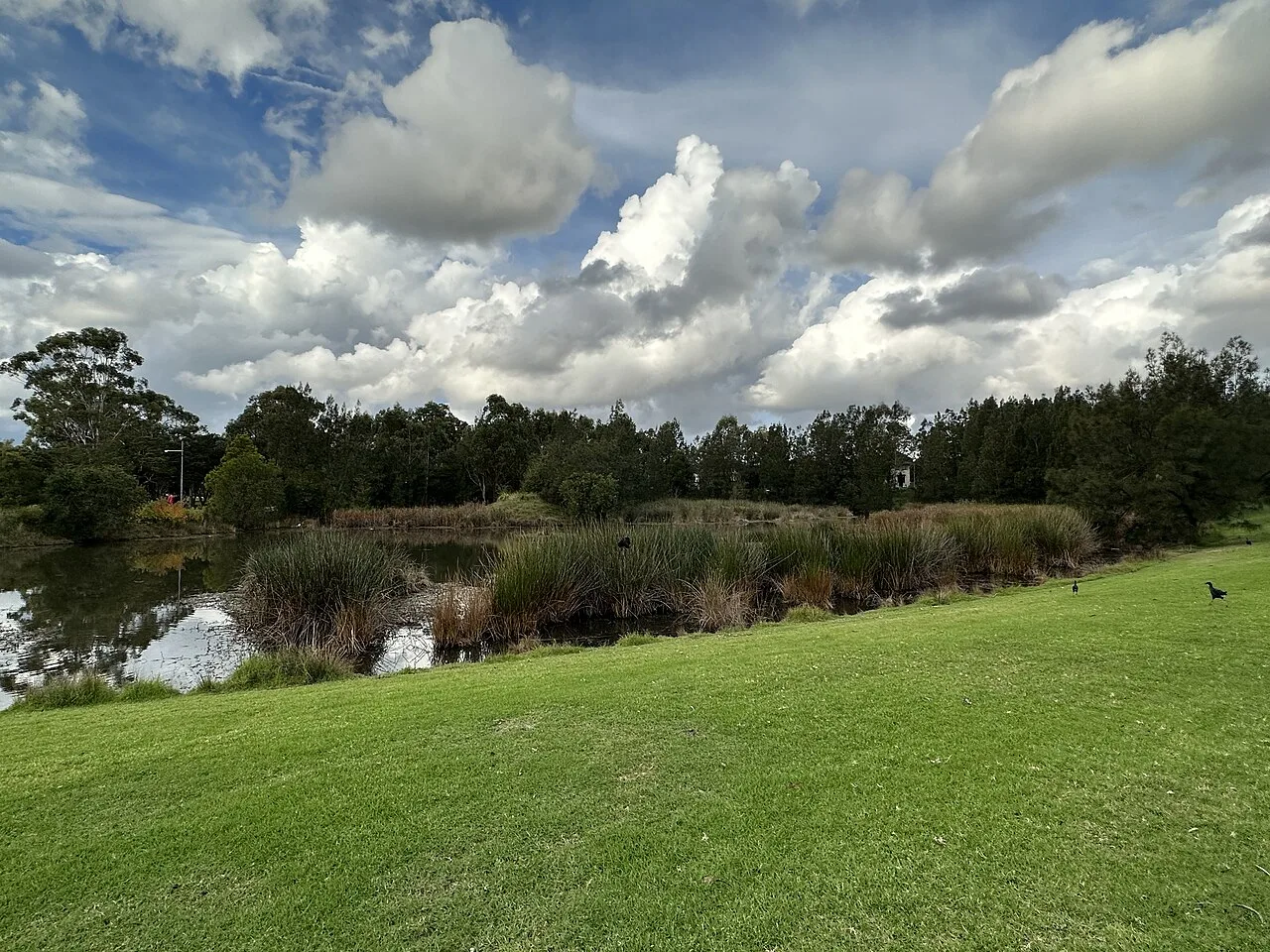 Pemulwuy